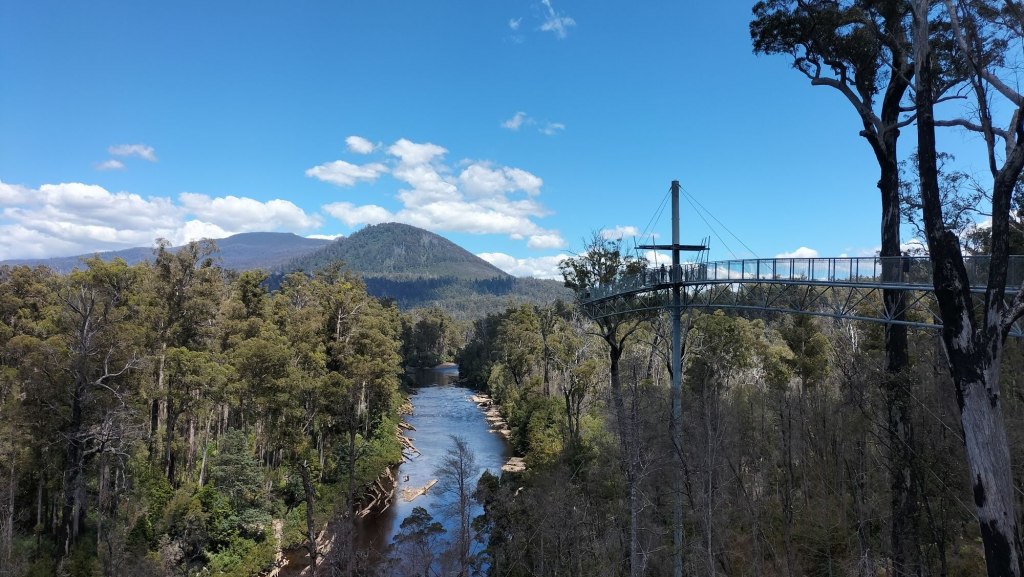 Tahune Airwalk – spacer w koronach&nbsp;drzew